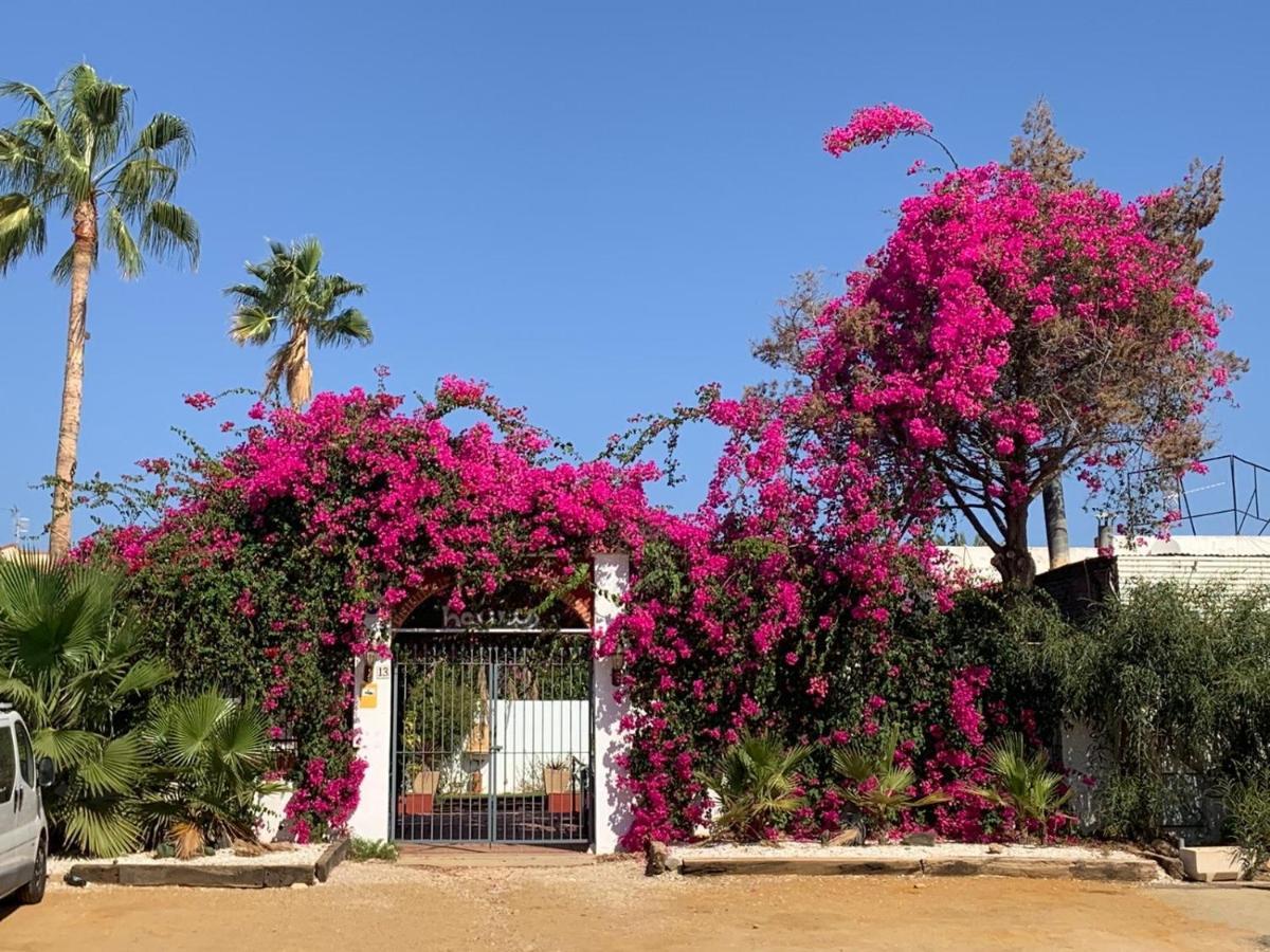 Casa Tranquila Vila San Juan de los Terreros Exterior foto